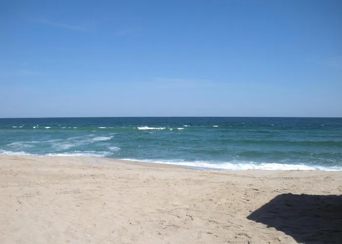 Family Piter فندق