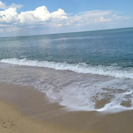 Family Pier