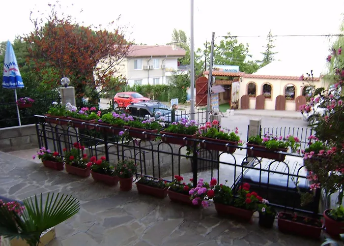 Family Pier